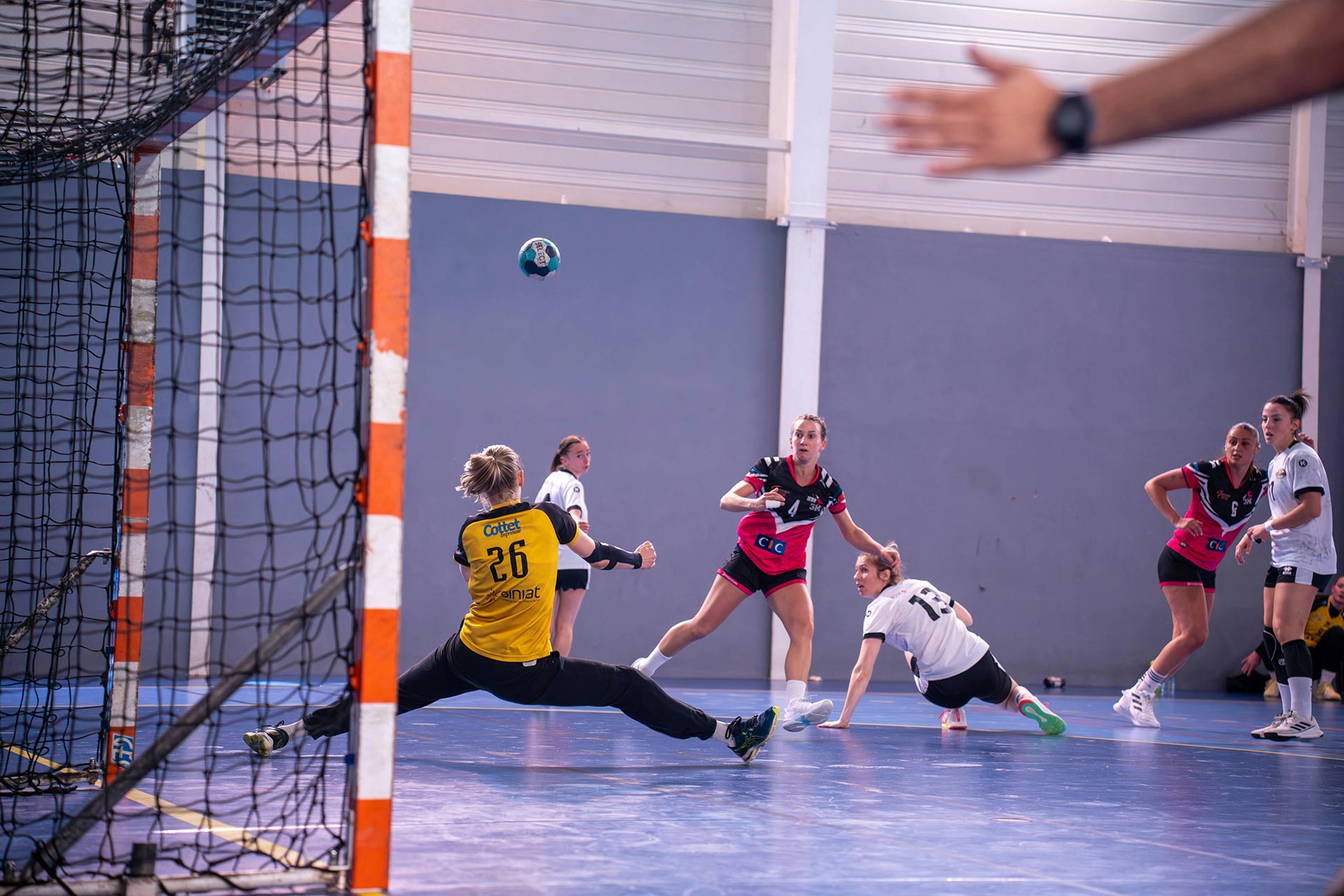 Future Champions Handball